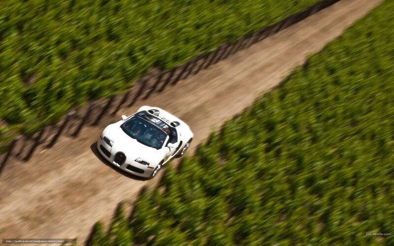 White Bugatti in vineyard