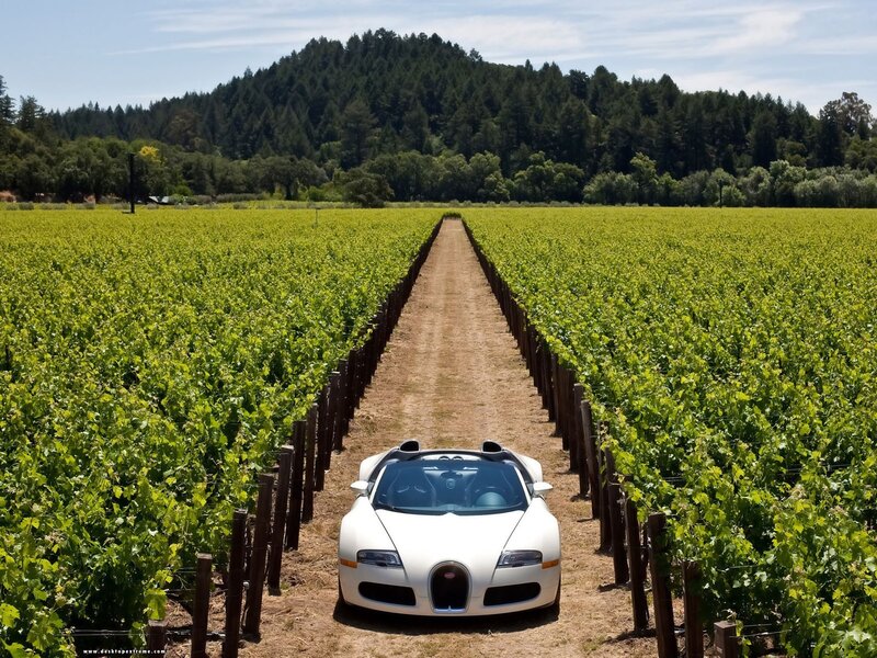 White Bugatti in vineyard