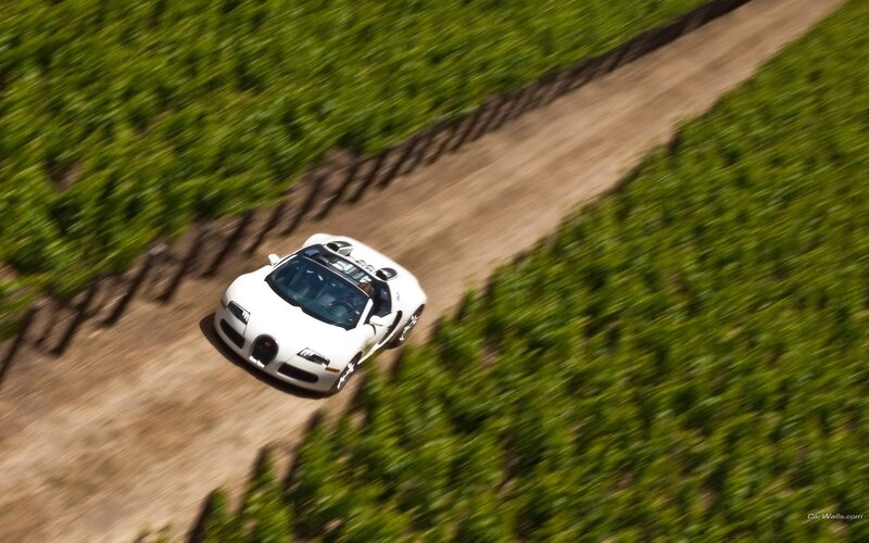 White Bugatti in vineyard