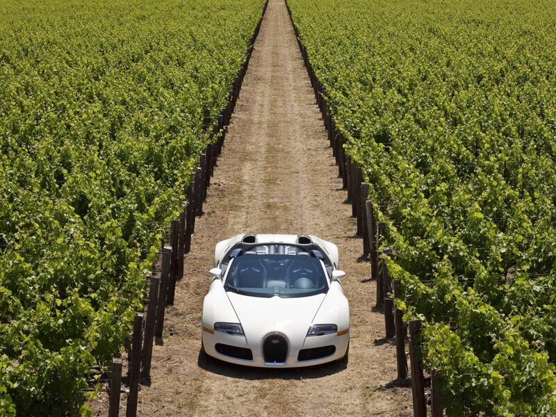 White Bugatti in vineyard
