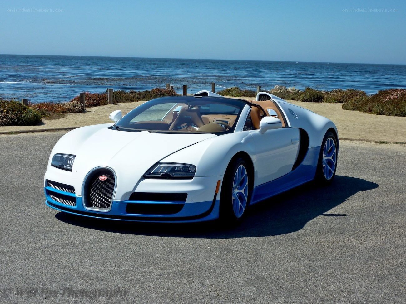 White Bugatti Veyron by the ocean