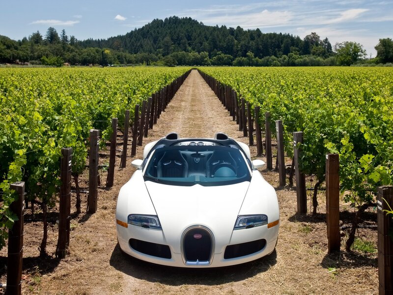 White Bugatti Veyron — Green, Serene, Afternoon, Photograph, Vineyard