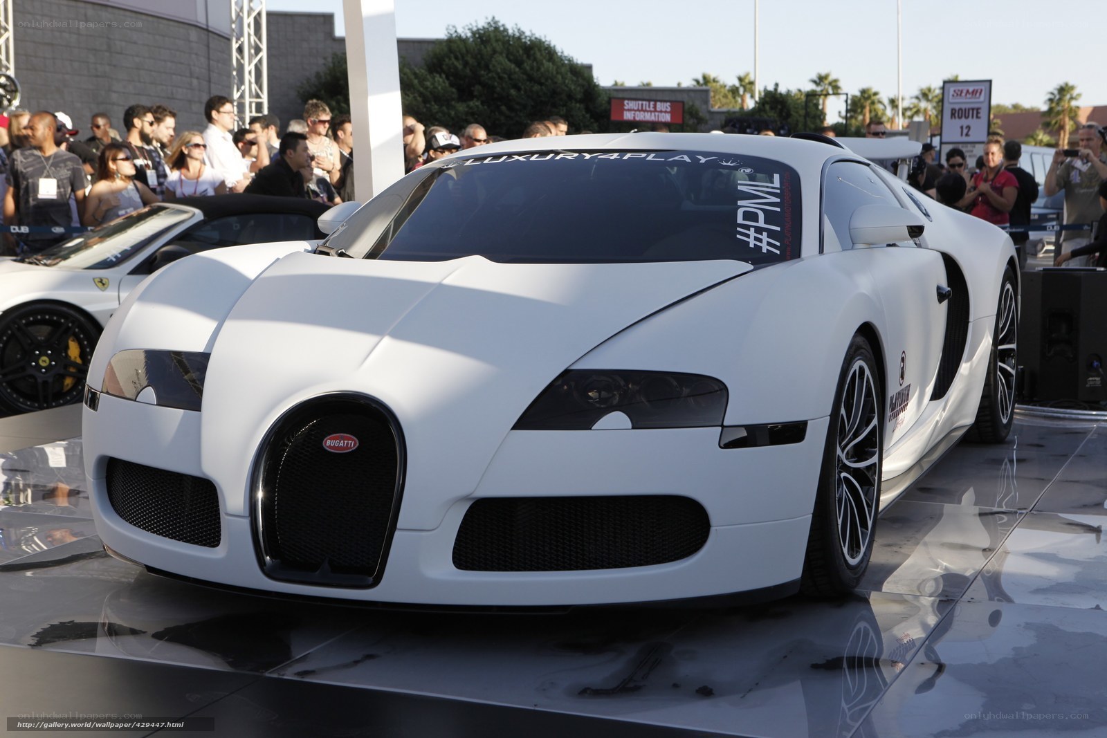 White Bugatti Veyron on display