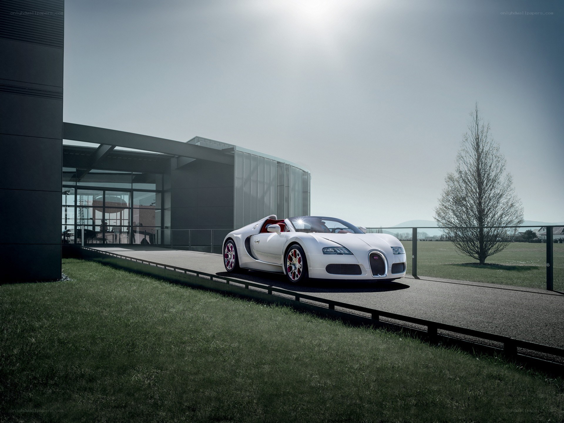 White Bugatti Veyron on display