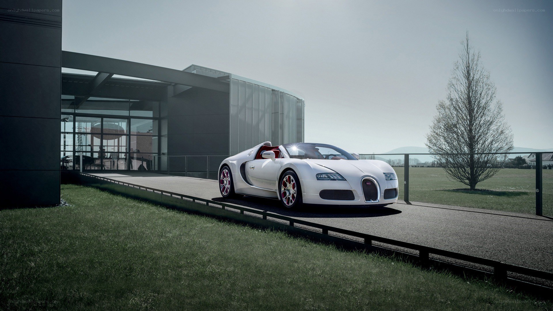 White Bugatti Veyron on display