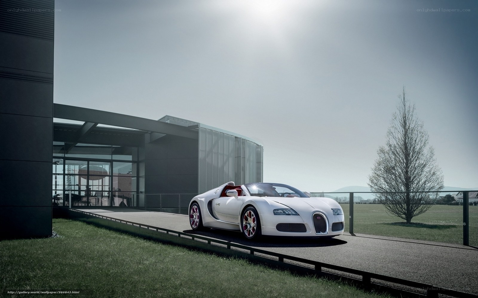 White Bugatti Veyron on display