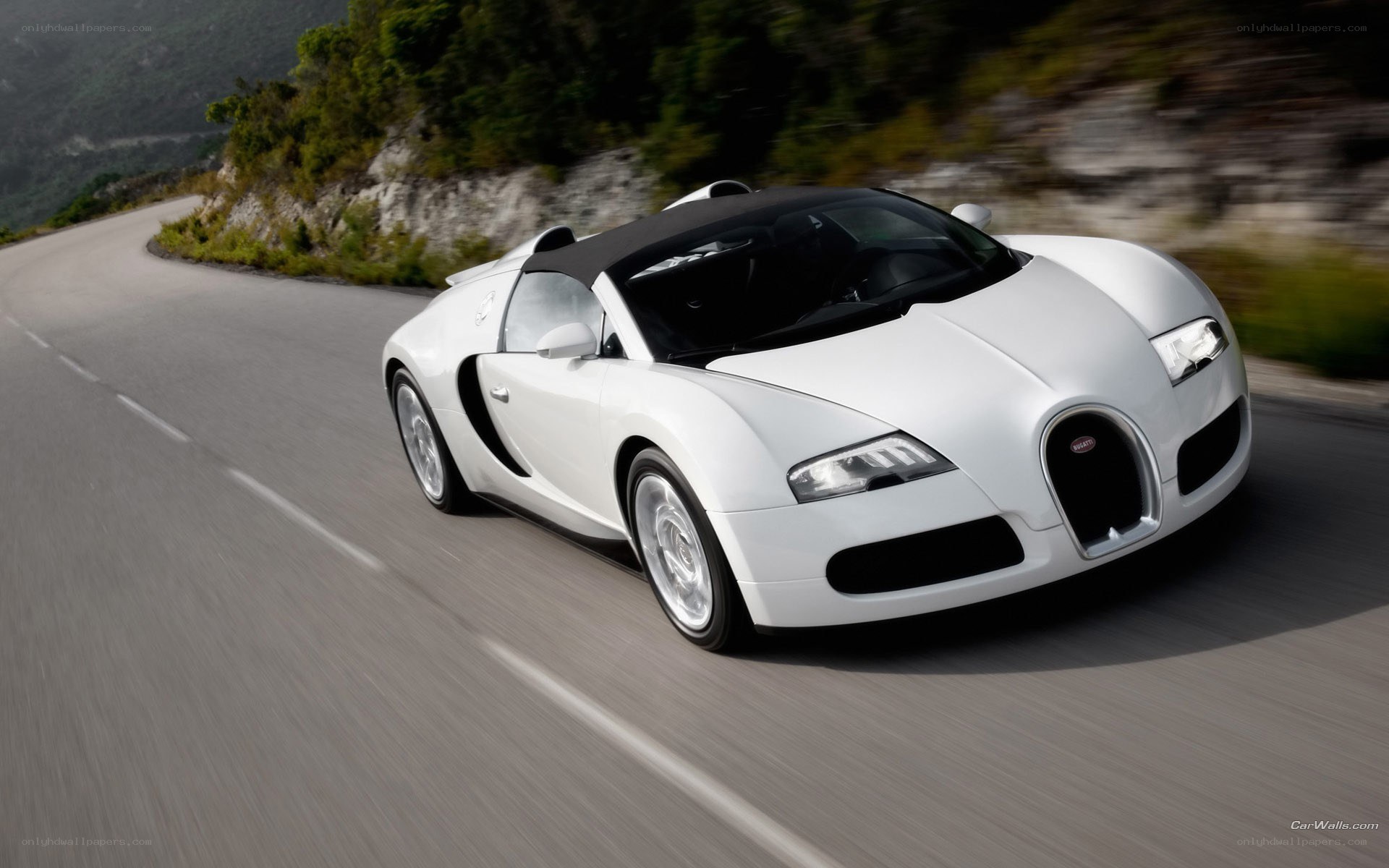 white bugatti veyron on road