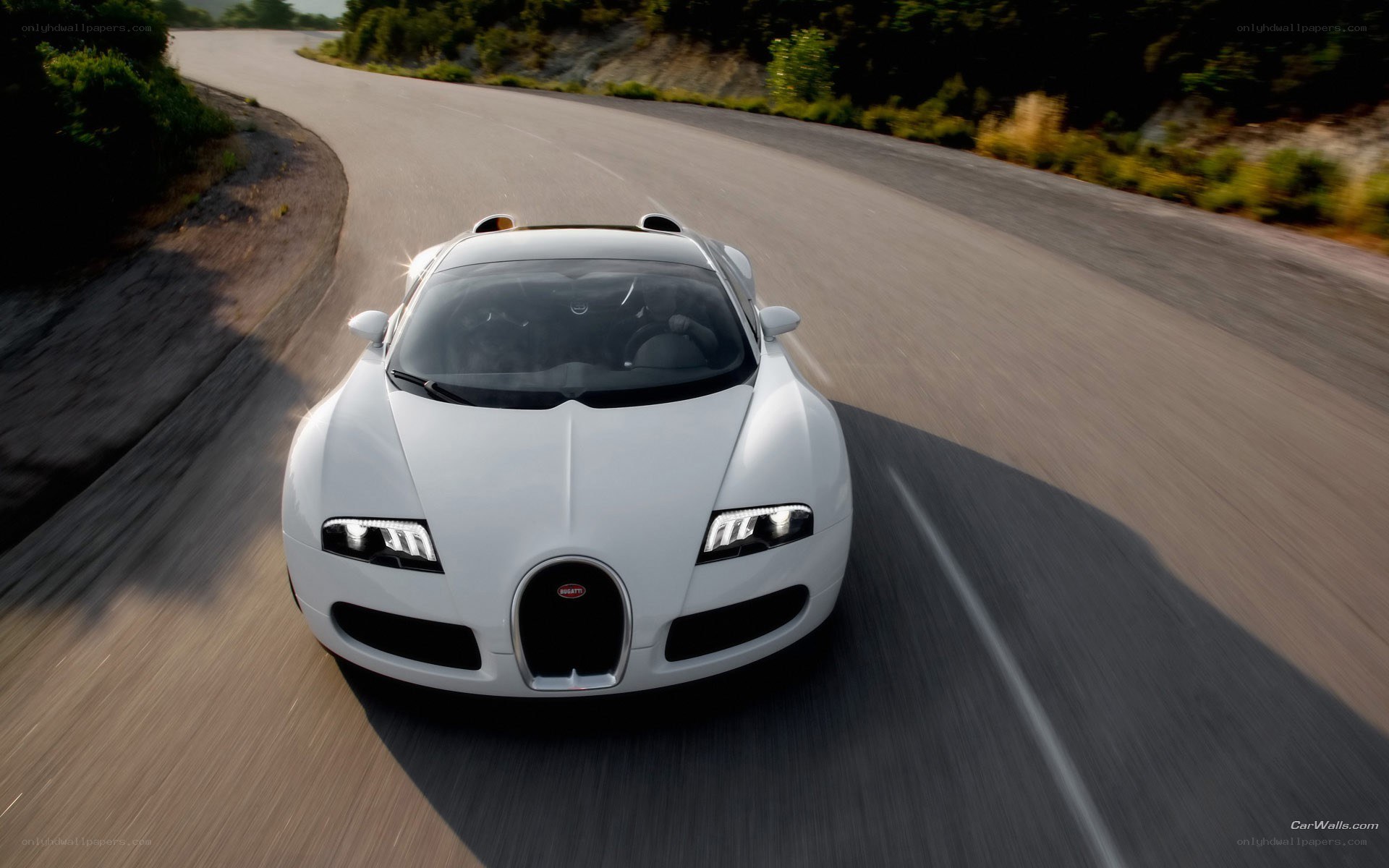 white bugatti veyron on road