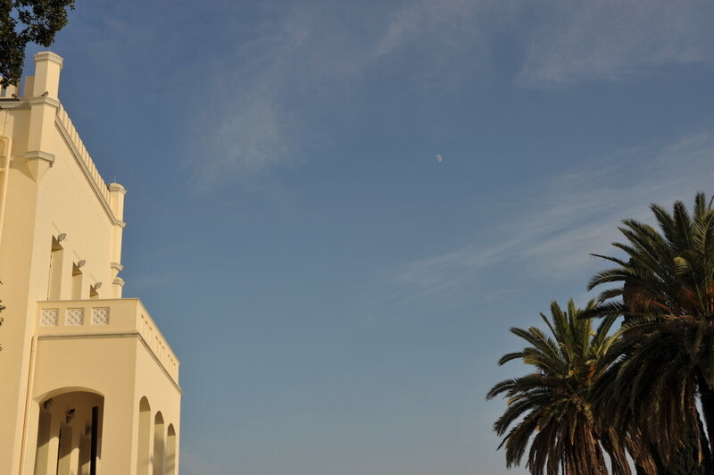 White Building and Palm Trees