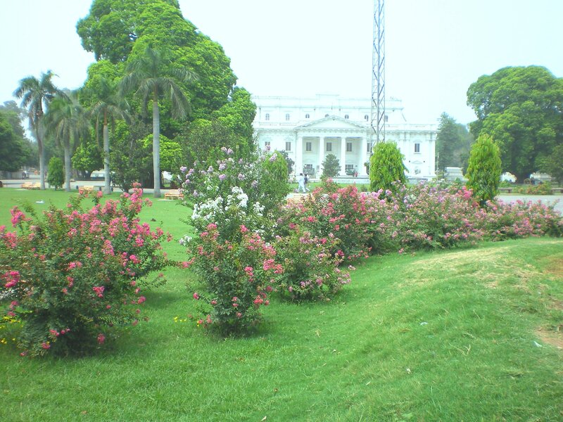 White building in a park