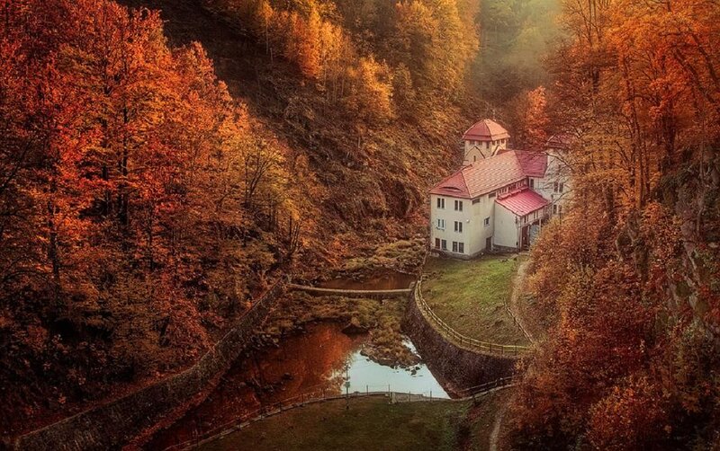 White Building in Autumn Forest