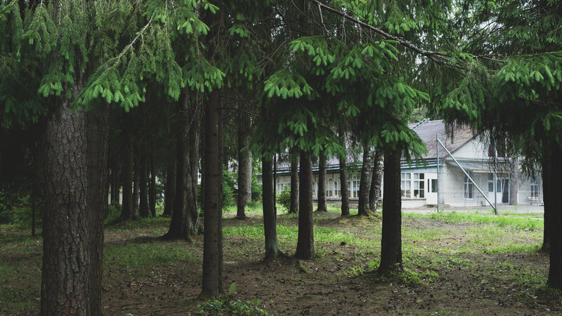 White Building in Forest — Green