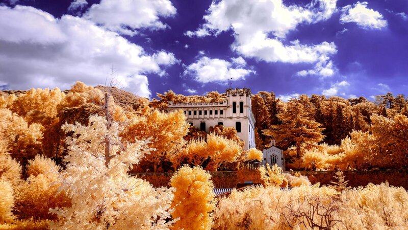White Building in Forest — Purple