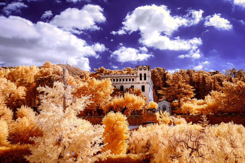White Building in Forest