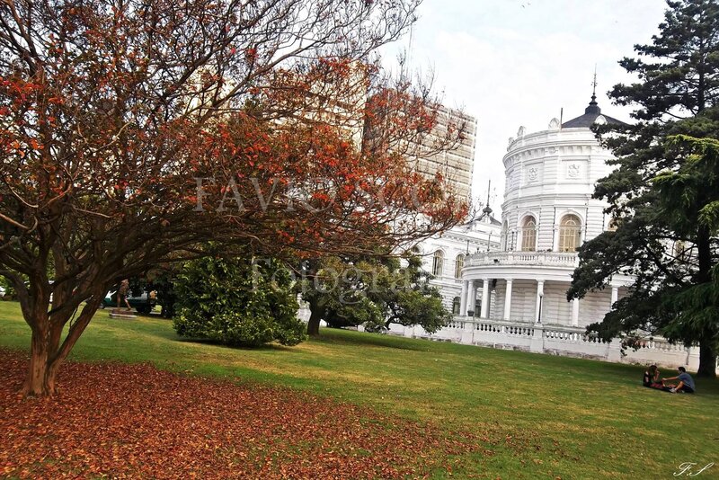 White Building in Park
