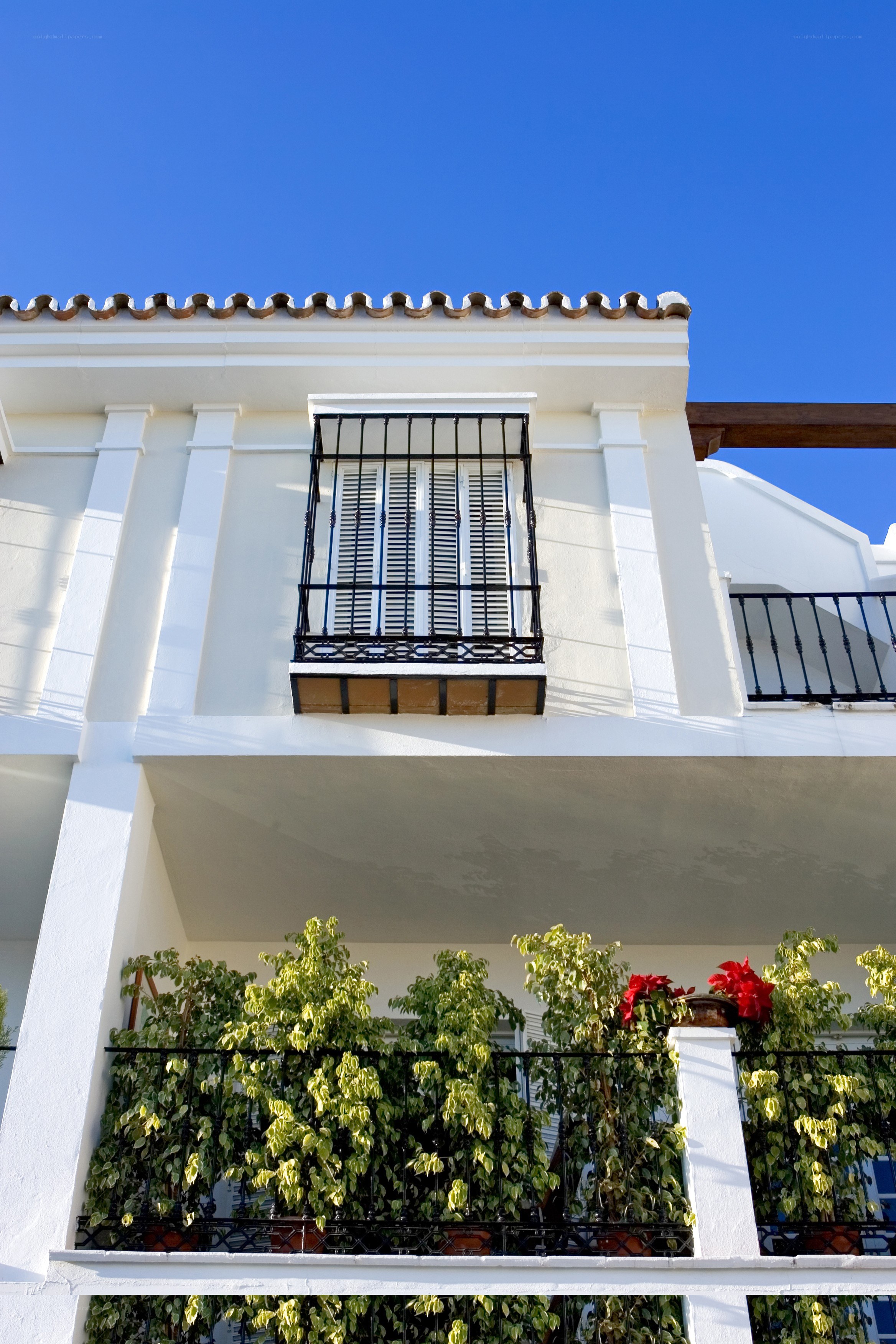 White building with balcony and plants
