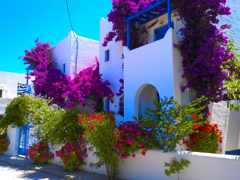 White Building with Flowers — Bright