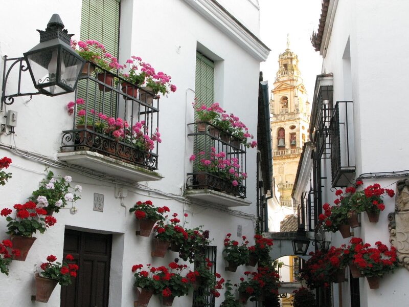 White Building with Flowers