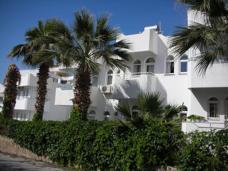 White Building with Palm Trees — Serene