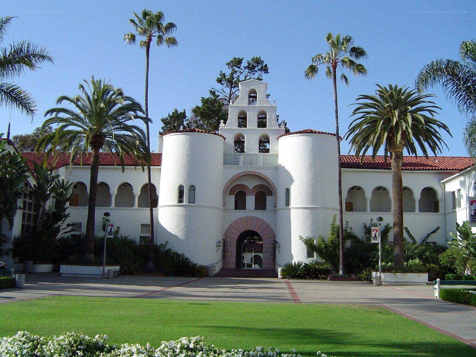 white building with palm trees