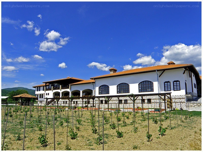 White building with vineyard
