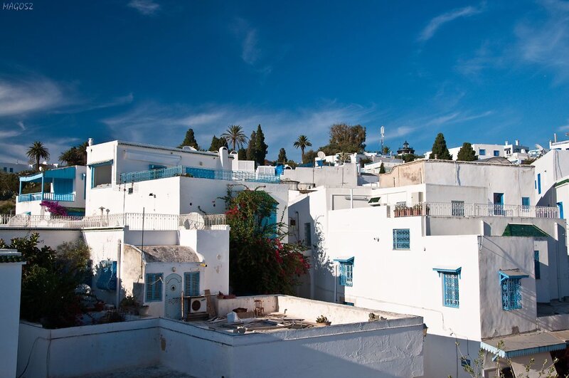 White Buildings with Blue Accents
