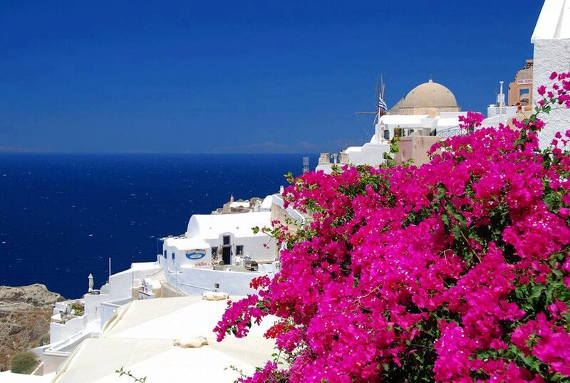White Buildings with Bougainvillea — Blue