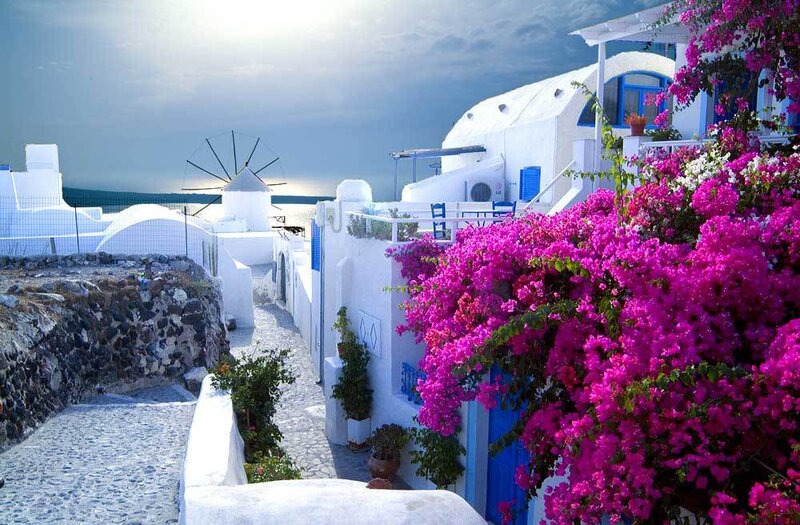 White Buildings with Bougainvillea