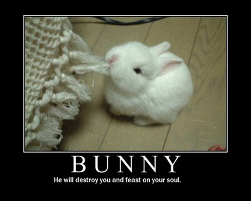 White Bunny Chewing Rug