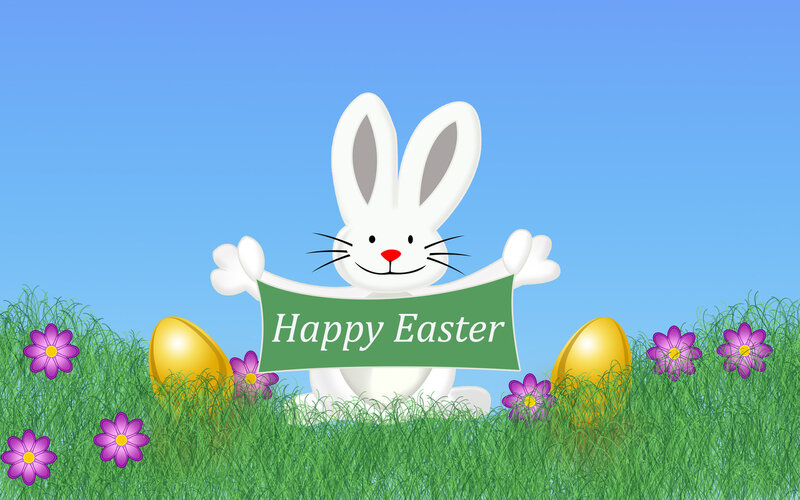 White Bunny Holding Sign