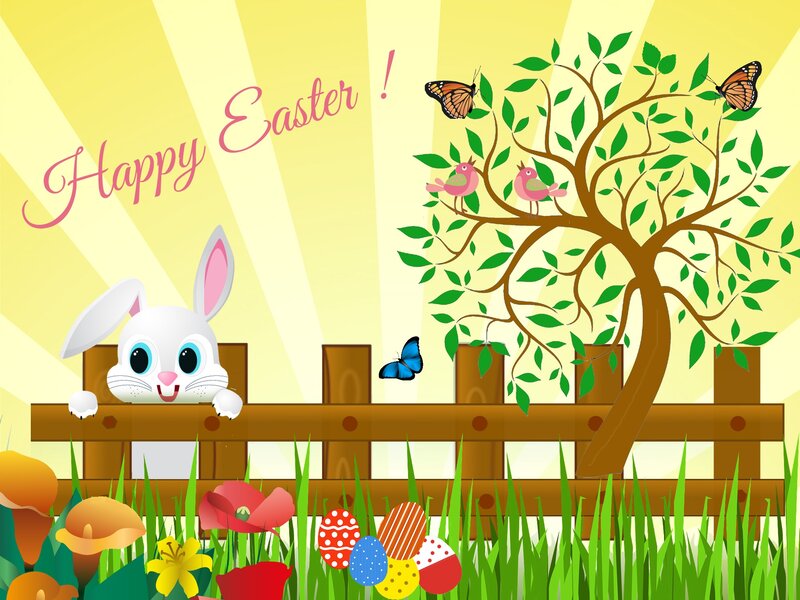 White Bunny in Garden
