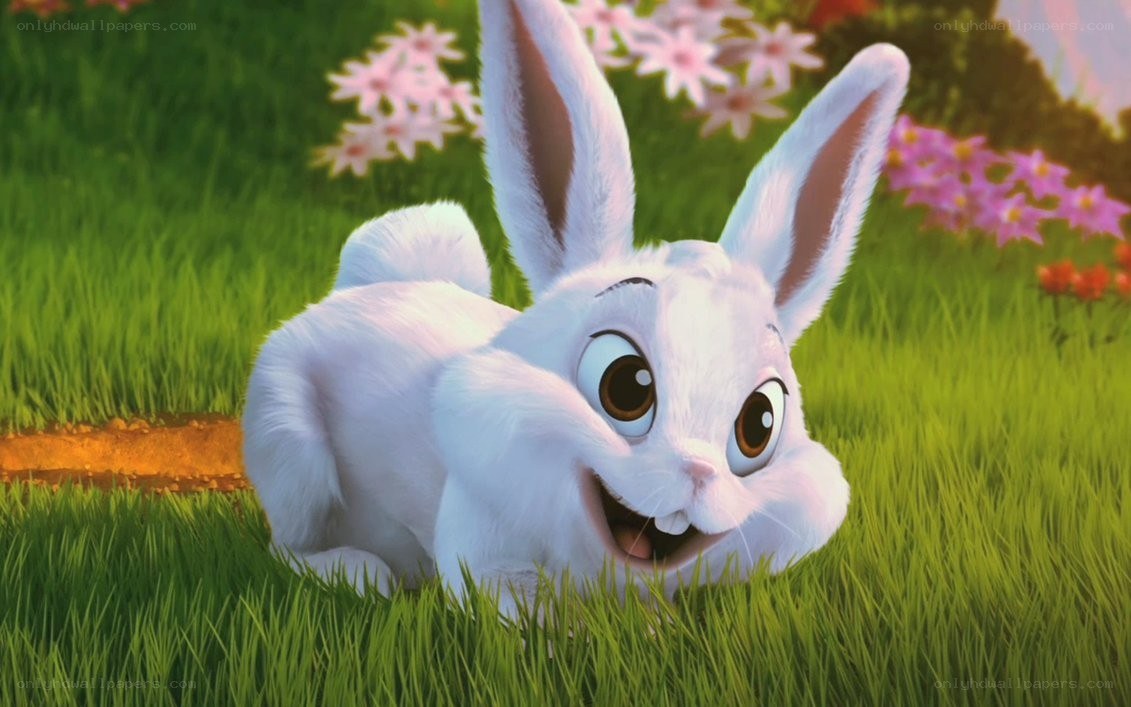 white bunny in grass