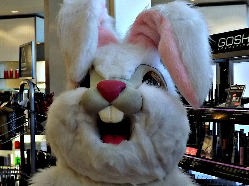 White Bunny Mascot