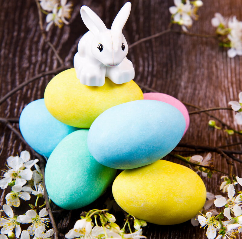White Bunny on Eggs