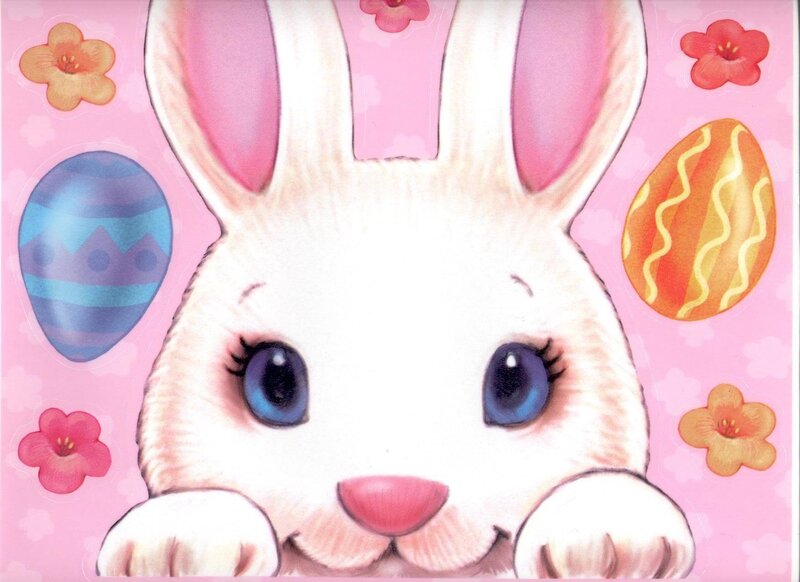 White Bunny with Blue Eyes