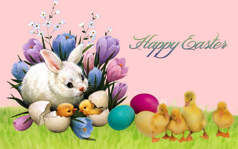 White Bunny with Chicks — Pink