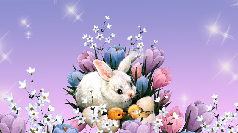 White Bunny with Chicks
