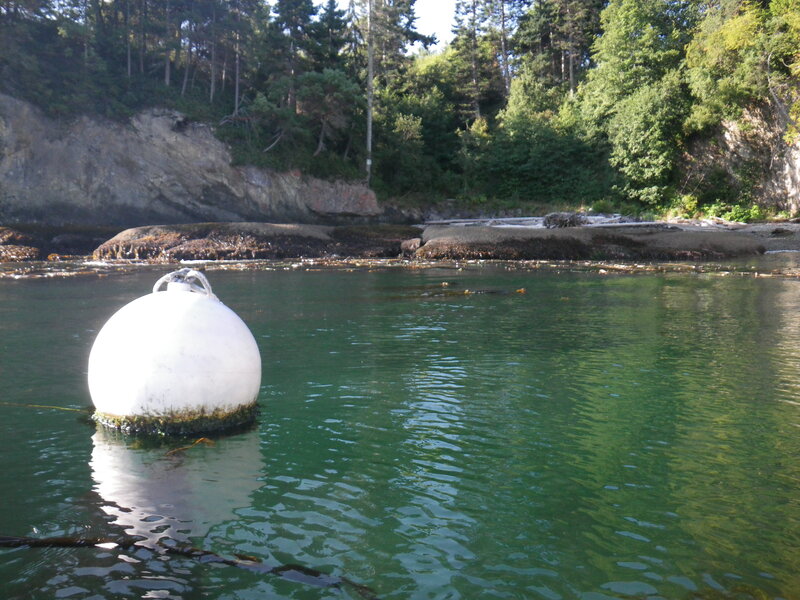 White Buoy in Water — Green