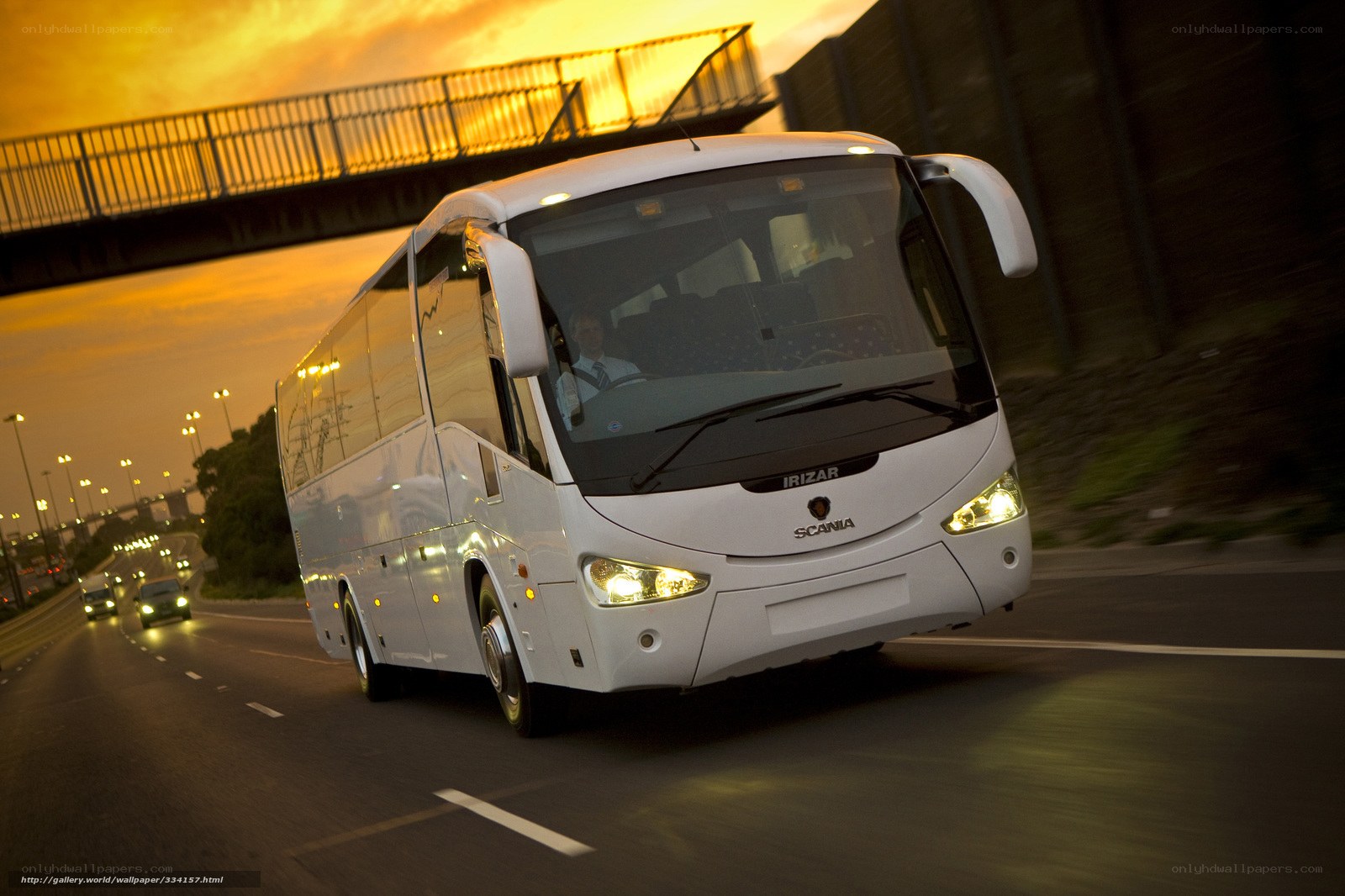 White bus on highway at sunset