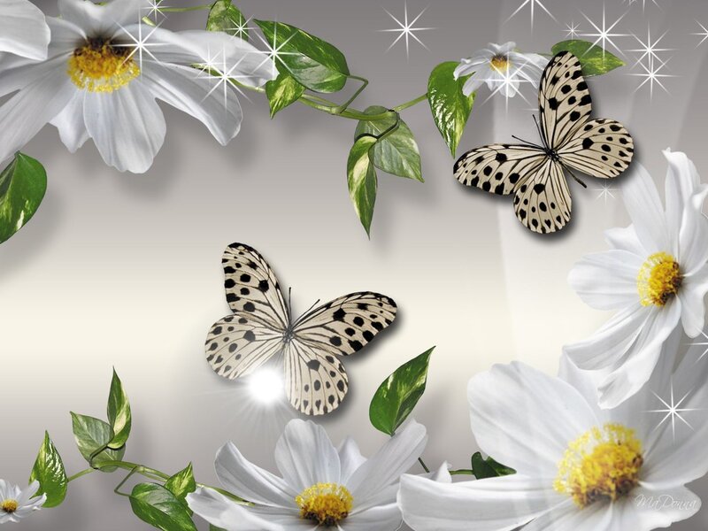 White Butterflies and Flowers — Serene