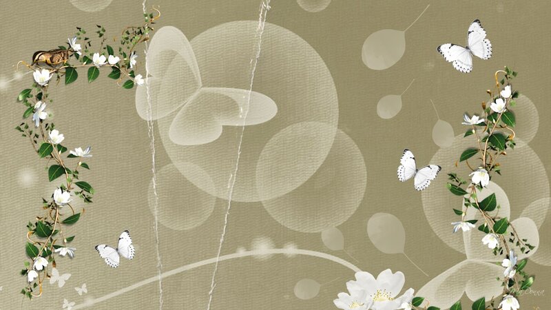 White Butterflies and Flowers