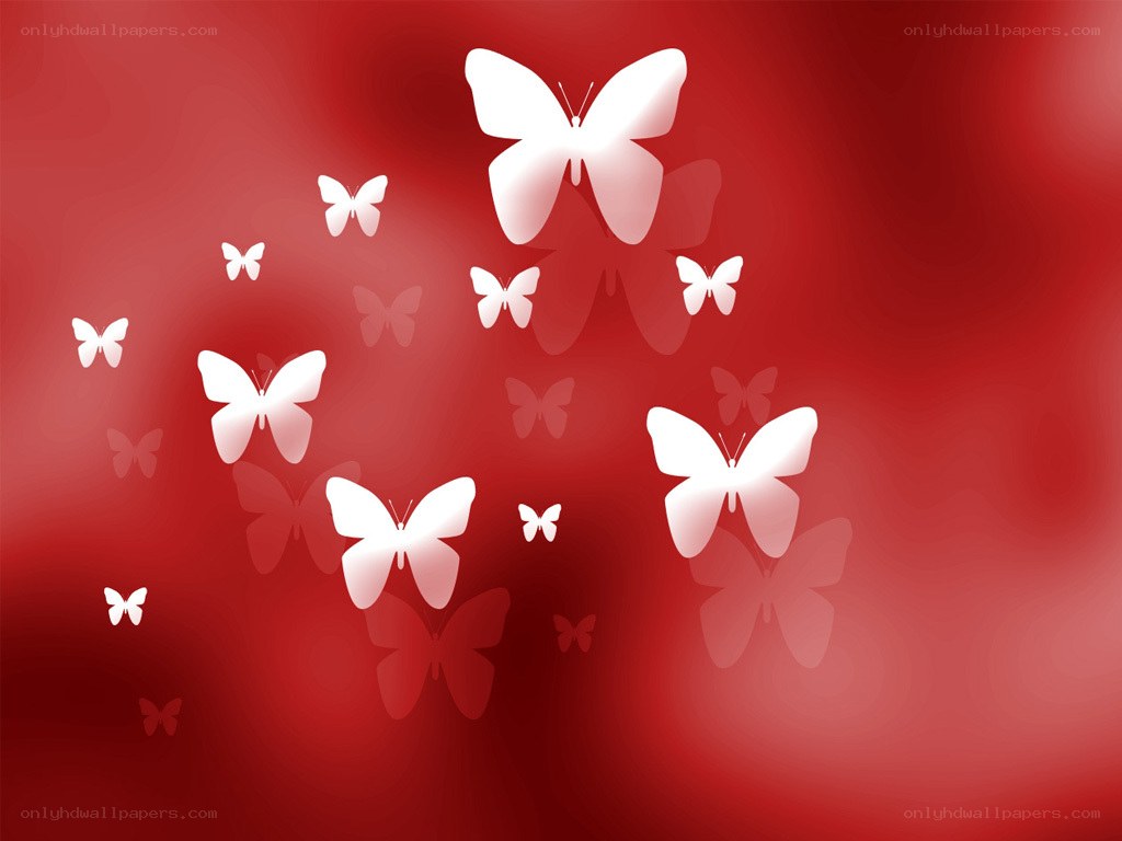 white butterflies on red background