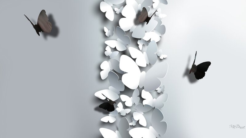 White Butterflies on Wall