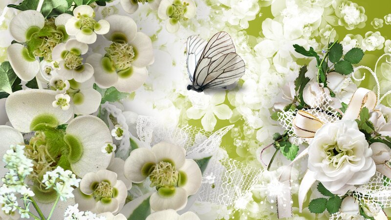 White Butterfly Among Flowers