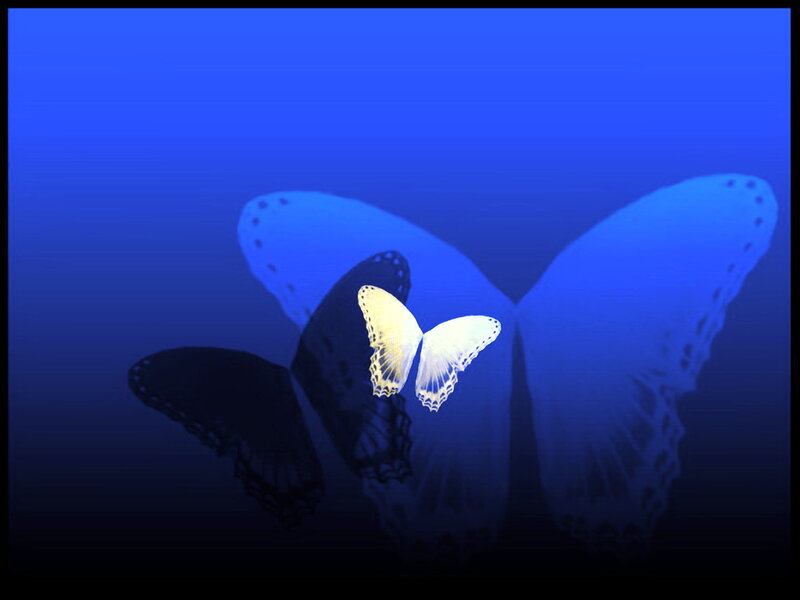 White Butterfly in Blue
