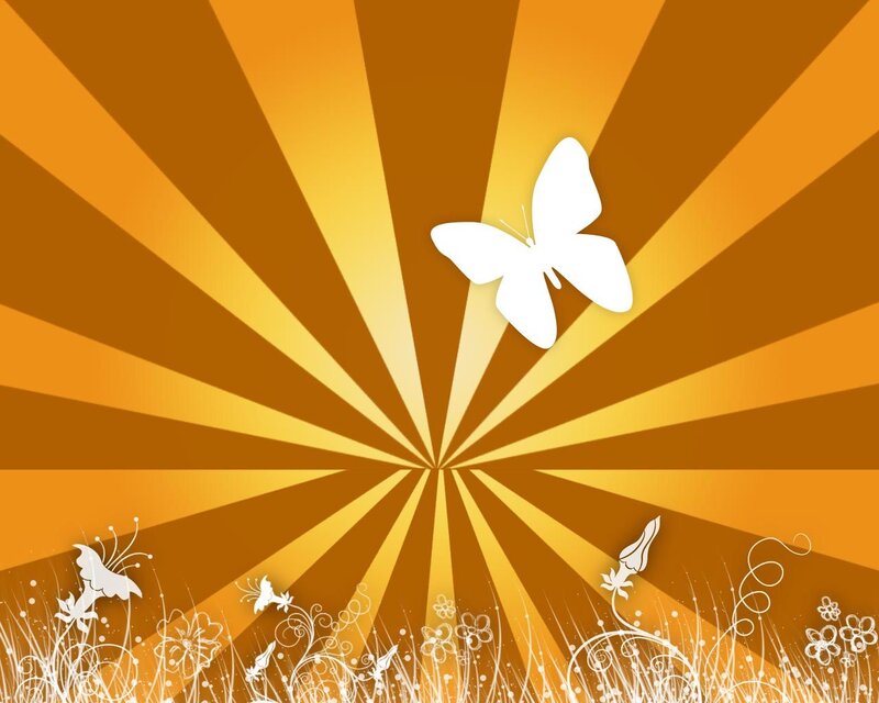 White Butterfly in Field