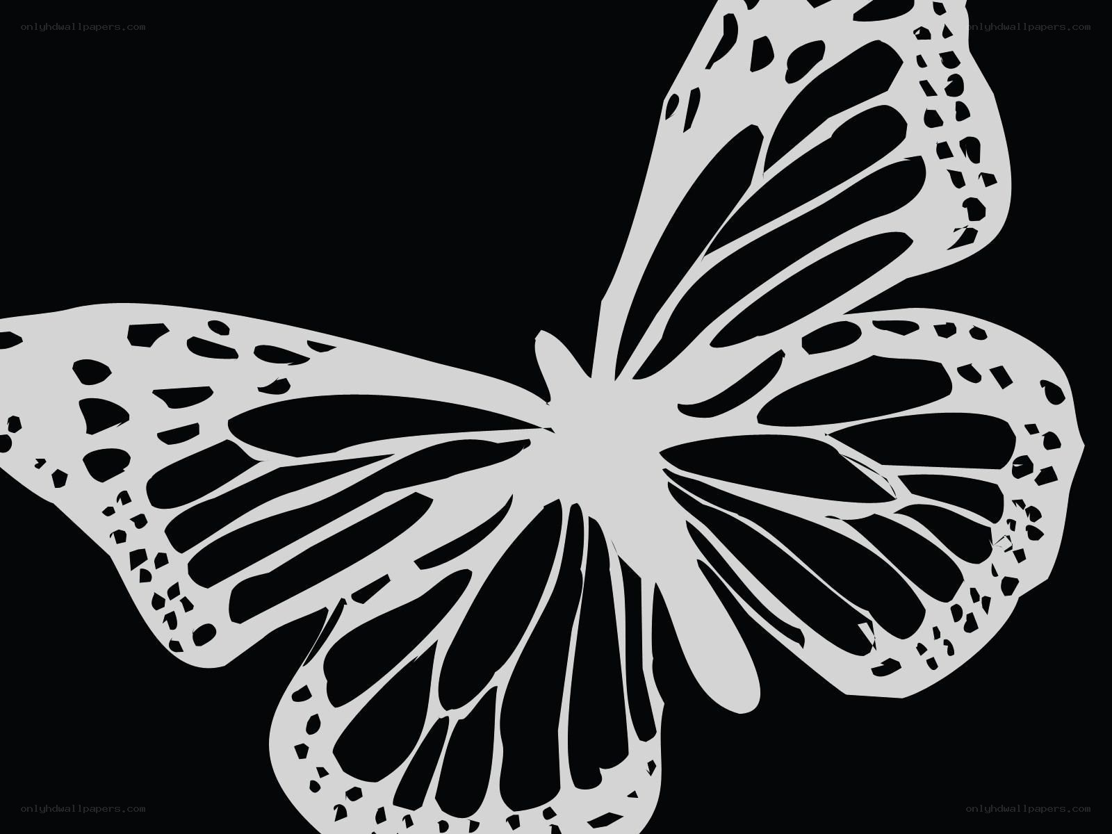 white butterfly on black background
