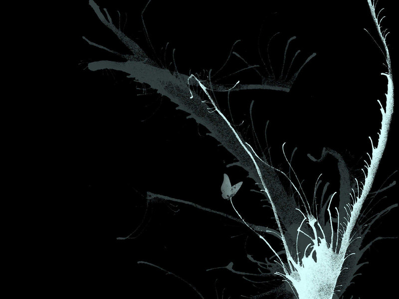 white butterfly on dark branch