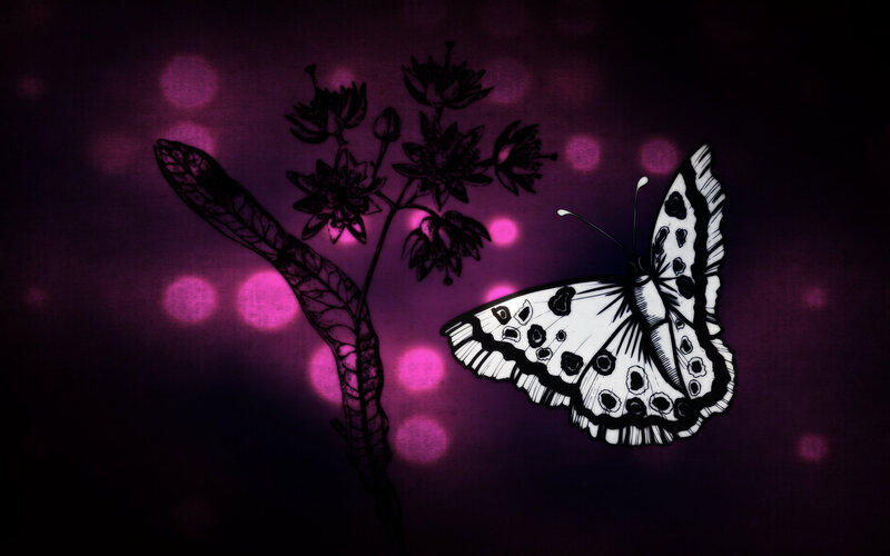 White Butterfly on Flower — Purple, Dreamy