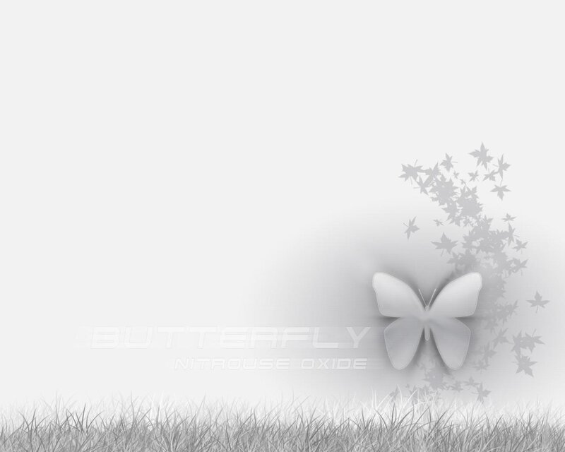 White Butterfly on Grass — Gray